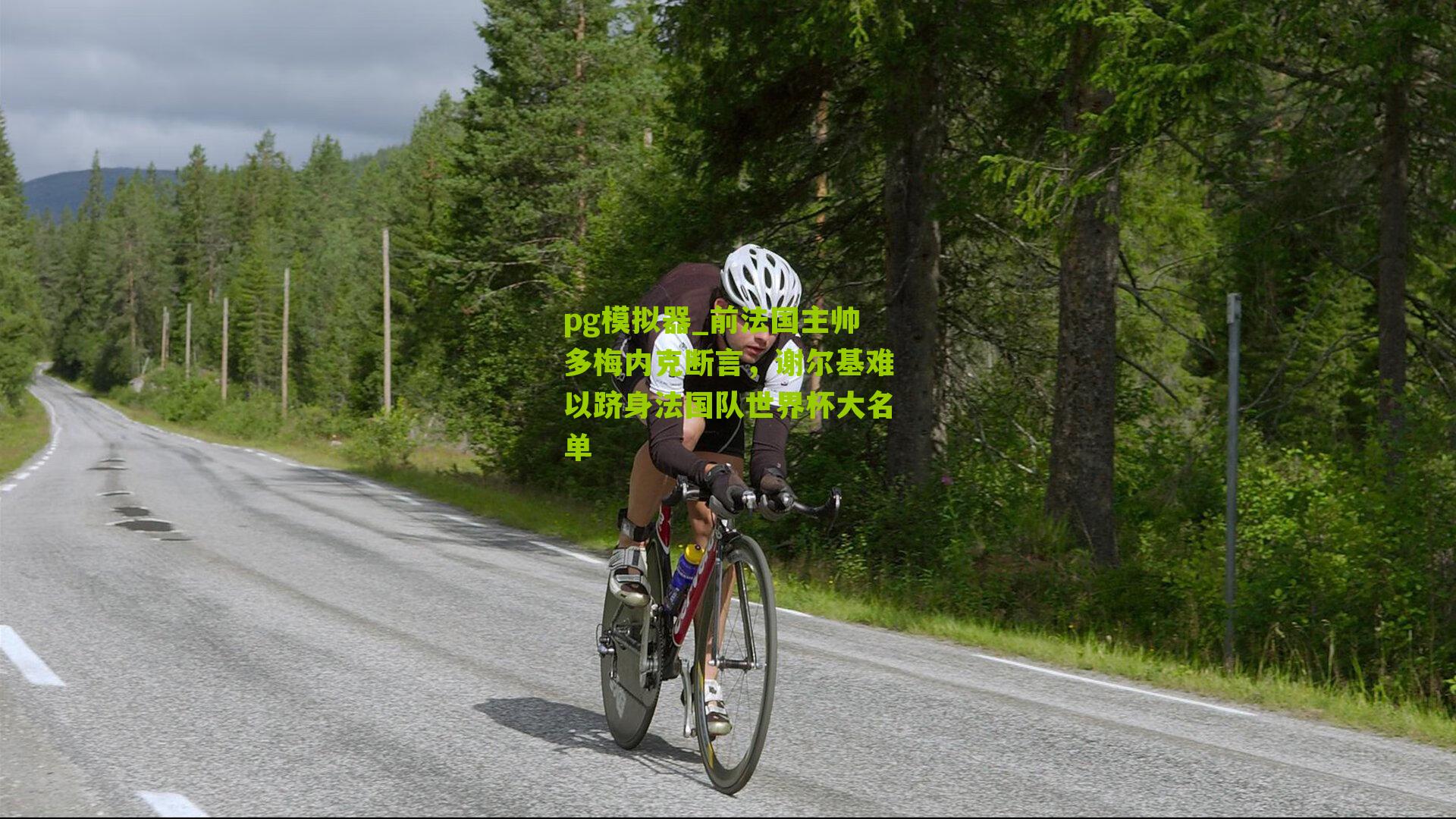 前法国主帅多梅内克断言，谢尔基难以跻身法国队世界杯大名单