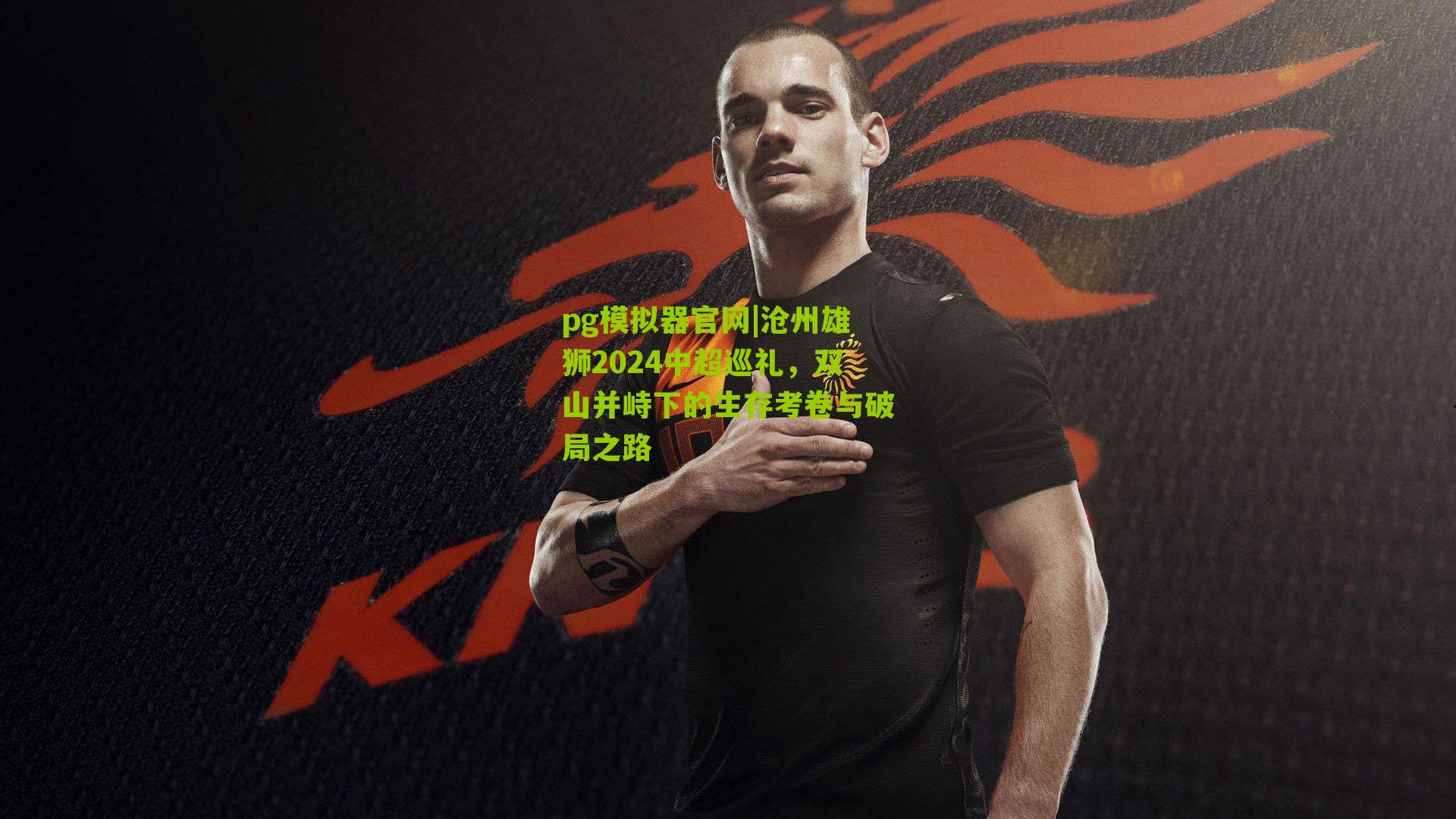 沧州雄狮2024中超巡礼，双山并峙下的生存考卷与破局之路